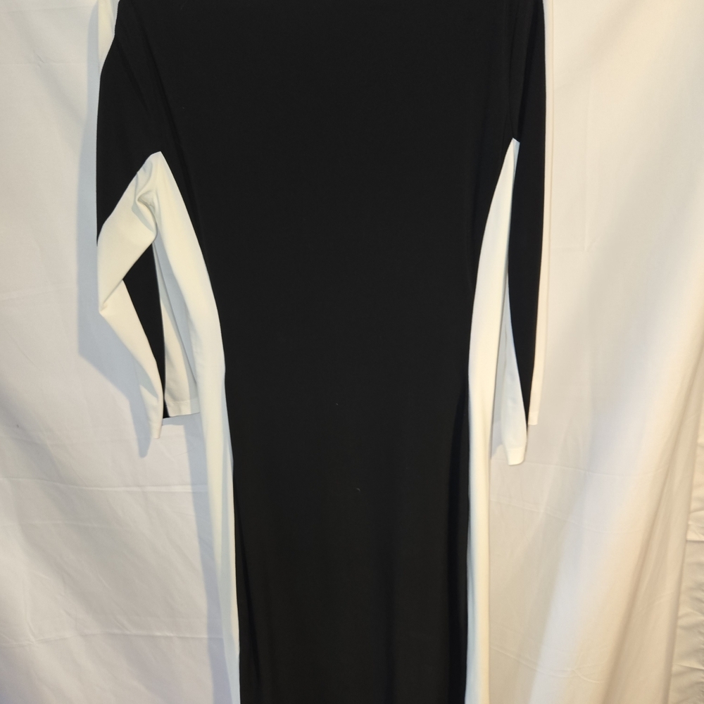 Polo by Ralph Lauren Black and White Dress - Picture 3 of 3